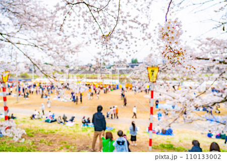 白石川堤 一目千本桜 春イメージ(宮城県大河原町) 白石川堤 一目千本桜 春イメージ(宮城県大河原町) 110133002