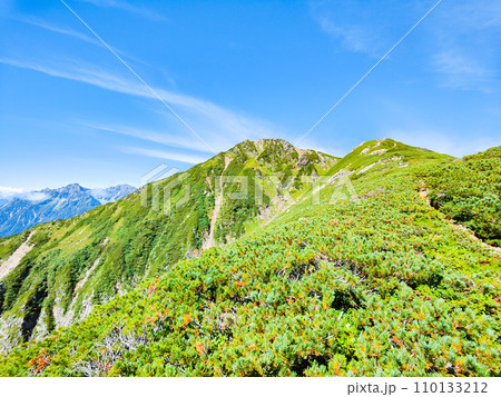 夏の常念岳登山(前常念岳~常念岳) 夏の常念岳登山(前常念岳~常念岳) 110133212