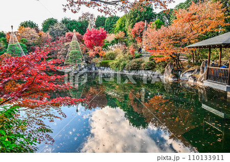 都内の紅葉の名所　目白庭園の池ともみじ 110133911