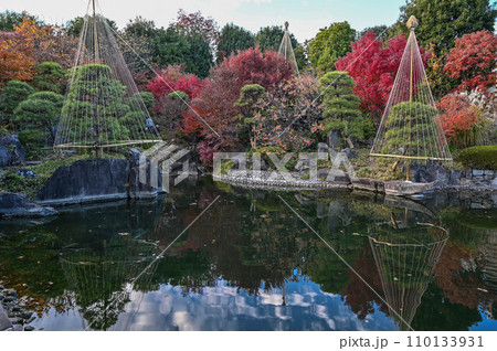 都内の紅葉の名所 目白庭園の池ともみじ 都内の紅葉の名所 目白庭園の池ともみじ 110133931