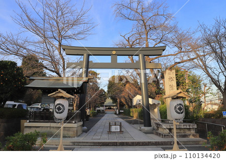 松陰神社 大鳥居と御社殿(奥) 東京都世田谷区 松陰神社 大鳥居と御社殿(奥) 東京都世田谷区 110134420