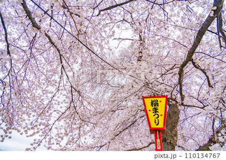 一目千本桜 春イメージ 宮城県 一目千本桜 春イメージ 宮城県 110134767