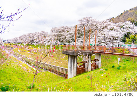 一目千本桜　春イメージ　宮城県 110134780