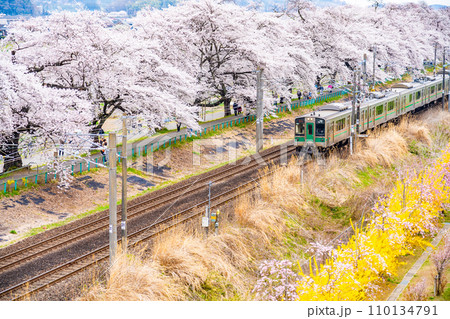 一目千本桜 列車 蔵王 春イメージ 宮城県 一目千本桜 列車 蔵王 春イメージ 宮城県 110134791