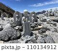 南アルプス　地蔵岳山頂にある仏様 110134912