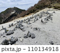 地蔵ヶ岳山頂のお地蔵さん 110134918