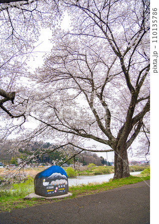 一目千本桜 桜 春 花見 一目千本桜 桜 春 花見 110135786