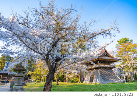 陸奥國分寺　薬師堂　鐘楼　春　桜　満開　宮城県仙台市 110135822