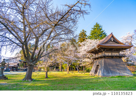 陸奥國分寺 薬師堂 鐘楼 春 桜 満開 宮城県仙台市 陸奥國分寺 薬師堂 鐘楼 春 桜 満開 宮城県仙台市 110135823