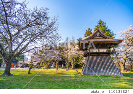 陸奥國分寺　薬師堂　鐘楼　春　桜　満開　宮城県仙台市 110135824