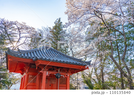 陸奥國分寺　薬師堂　準胝観音堂　春　桜　満開　宮城県仙台市 110135840