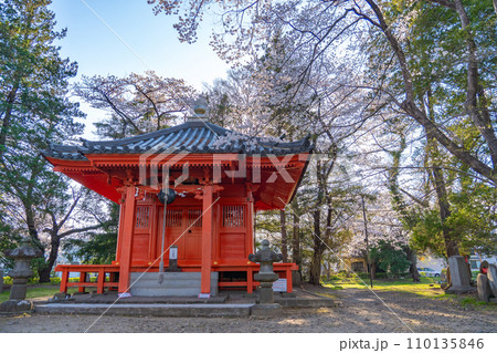 陸奥國分寺　薬師堂　準胝観音堂　春　桜　満開　宮城県仙台市 110135846