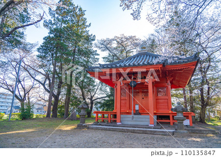 陸奥國分寺　薬師堂　準胝観音堂　春　桜　満開　宮城県仙台市 110135847