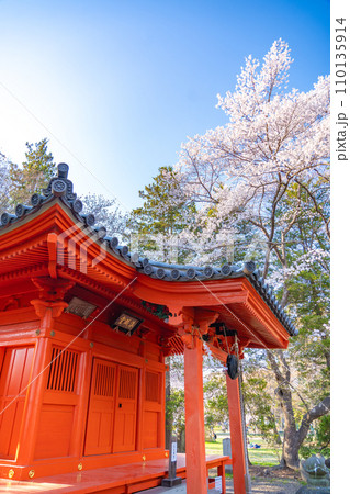 陸奥國分寺 薬師堂 準胝観音堂 春 桜 満開 宮城県仙台市 陸奥國分寺 薬師堂 準胝観音堂 春 桜 満開 宮城県仙台市 110135914