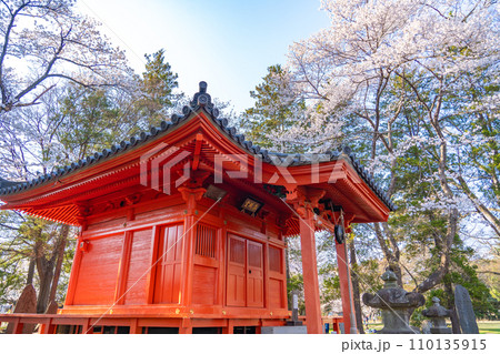 陸奥國分寺　薬師堂　準胝観音堂　春　桜　満開　宮城県仙台市 110135915