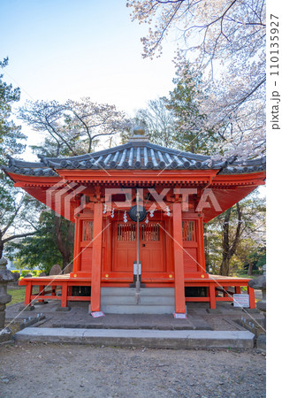 陸奥國分寺　薬師堂　準胝観音堂　春　桜　満開　宮城県仙台市 110135927