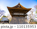 陸奥國分寺 薬師堂 鐘楼 春 桜 満開 宮城県仙台市 陸奥國分寺 薬師堂 鐘楼 春 桜 満開 宮城県仙台市 110135953
