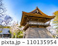 陸奥國分寺 薬師堂 鐘楼 春 桜 満開 宮城県仙台市 陸奥國分寺 薬師堂 鐘楼 春 桜 満開 宮城県仙台市 110135954