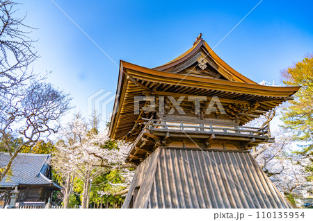 陸奥國分寺 薬師堂 鐘楼 春 桜 満開 宮城県仙台市 陸奥國分寺 薬師堂 鐘楼 春 桜 満開 宮城県仙台市 110135954