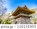 陸奥國分寺 薬師堂 鐘楼 春 桜 満開 宮城県仙台市 陸奥國分寺 薬師堂 鐘楼 春 桜 満開 宮城県仙台市 110135955