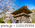 陸奥國分寺 薬師堂 鐘楼 春 桜 満開 宮城県仙台市 陸奥國分寺 薬師堂 鐘楼 春 桜 満開 宮城県仙台市 110135956