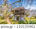 陸奥國分寺 薬師堂 鐘楼 春 桜 満開 宮城県仙台市 陸奥國分寺 薬師堂 鐘楼 春 桜 満開 宮城県仙台市 110135962