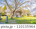 陸奥國分寺 薬師堂 鐘楼 春 桜 満開 宮城県仙台市 陸奥國分寺 薬師堂 鐘楼 春 桜 満開 宮城県仙台市 110135964