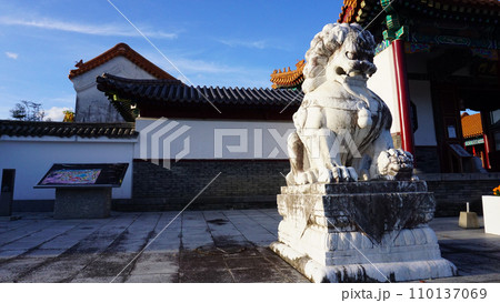 中国庭園の獅子 中国庭園の獅子 110137069