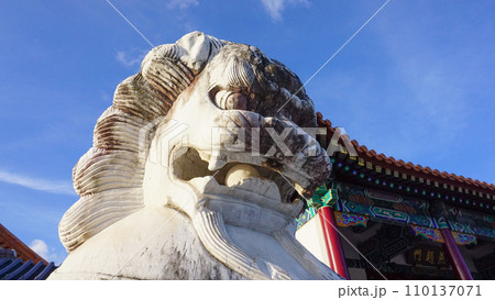 中国庭園の獅子 110137071