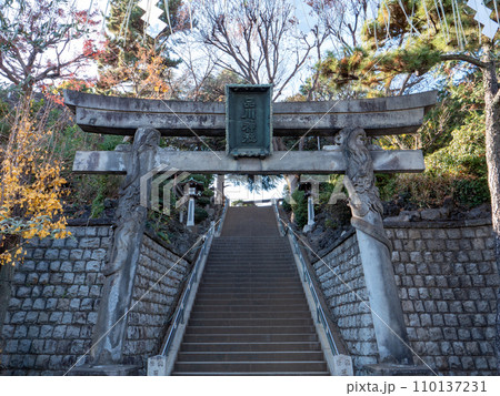 東京品川区 品川神社の鳥居と参道 東京品川区 品川神社の鳥居と参道 110137231