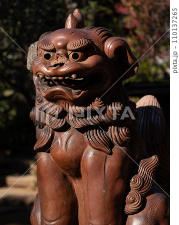 東京品川区 品川神社の狛犬 東京品川区 品川神社の狛犬 110137265
