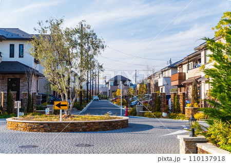 新しい郊外型戸建住宅団地 新しい郊外型戸建住宅団地 110137918
