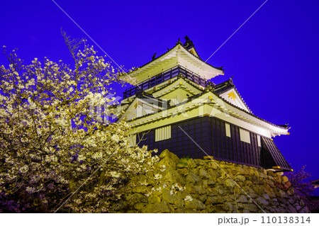 （静岡県）桜満開の浜松城　ライトアップ 110138314