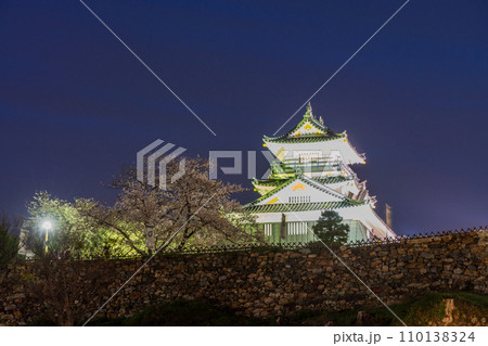 （静岡県）桜満開の浜松城　ライトアップ 110138324