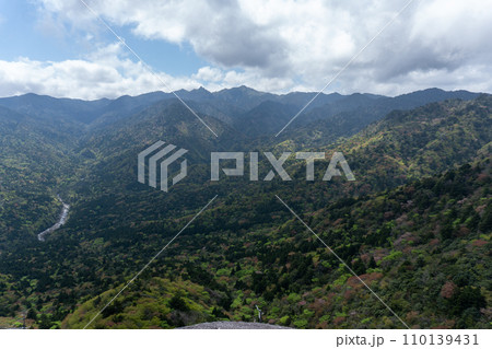 屋久島の白谷雲水峡エリアの太鼓岩 110139431