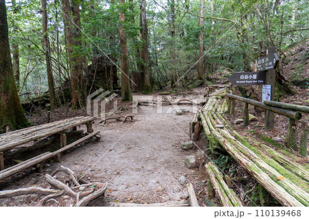 屋久島の白谷雲水峡エリアの白谷小屋 110139468
