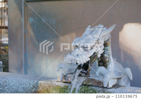 高牟神社（恋の三社巡り）　手水舎の龍1 110139675