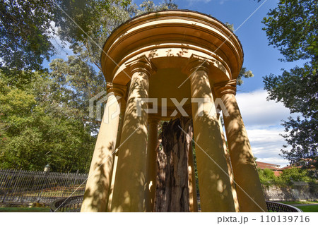 ゲルニカの木 110139716