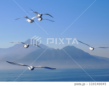 島原湾から見た雲仙普賢岳 110140045