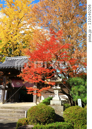 山口市 龍福寺 山門と紅葉 山口市 龍福寺 山門と紅葉 110140206