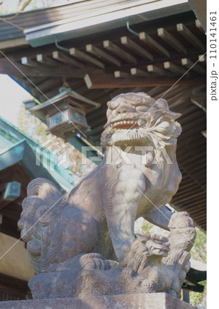 高牟神社(恋の三社巡り) こま犬4 高牟神社(恋の三社巡り) こま犬4 110141461