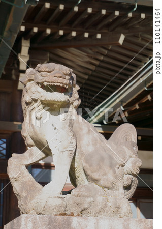 高牟神社(恋の三社巡り) こま犬1 高牟神社(恋の三社巡り) こま犬1 110141464