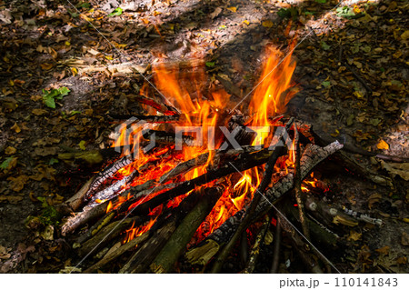 Flame of charcoal fire. Hearth for cooking and heating. Danger in forest Flame of charcoal fire. Hearth for cooking and heating. Danger in forest 110141843
