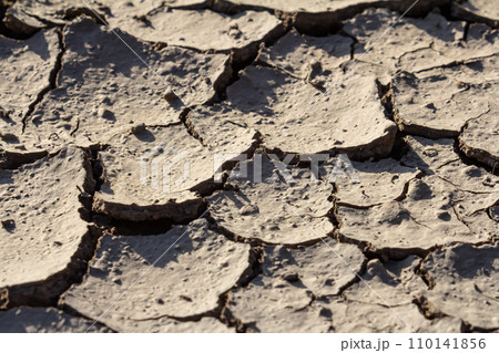 Wall texture soil dry crack pattern of drought lack of water of nature brown old broken background 110141856