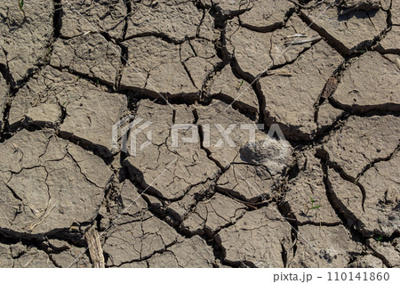 Wall texture soil dry crack pattern of drought lack of water of nature brown old broken background Wall texture soil dry crack pattern of drought lack of water of nature brown old broken background 110141860