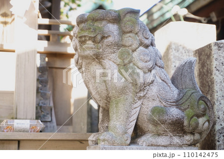 高牟神社(恋の三社巡り) 高牟龍神社阿形こま犬 高牟神社(恋の三社巡り) 高牟龍神社阿形こま犬 110142475