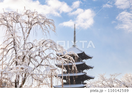冬の東寺 冬の東寺 110142589