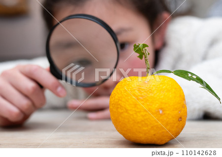 柚子を虫眼鏡で見る子供 110142628