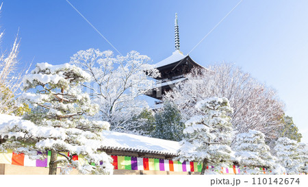 冬の東寺 冬の東寺 110142674