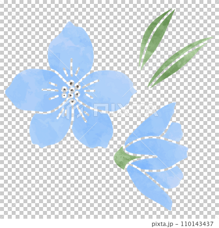 Watercolor style flower, delphinium, illustration material vector 110143437